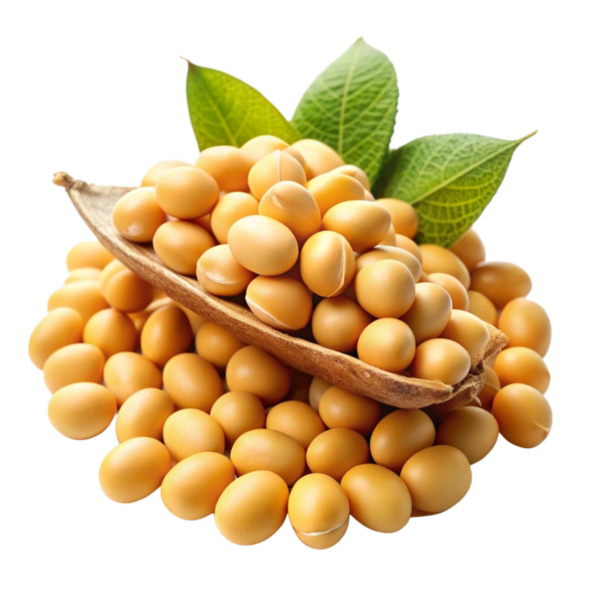 soyabean 4